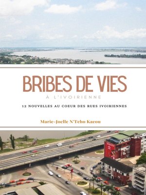 cover image of Bribes de vies